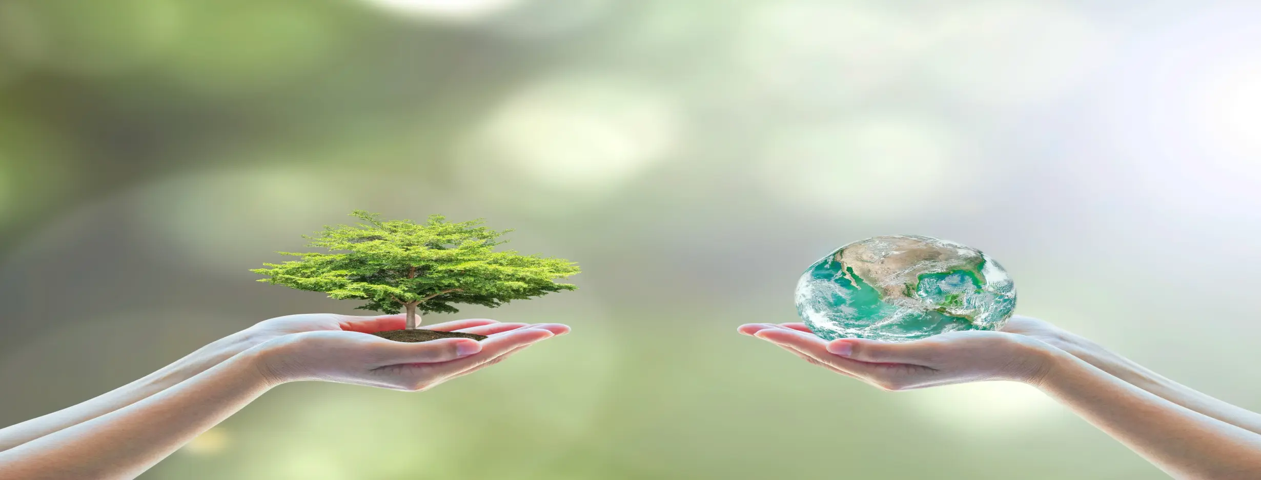 Image for Healthy Living Environment